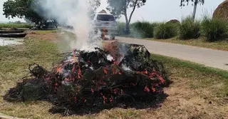 চলনবিলে মা মাছ রক্ষায় ৫০টি নিষিদ্ধ চায়না দুয়ারি জাল ধ্বংস